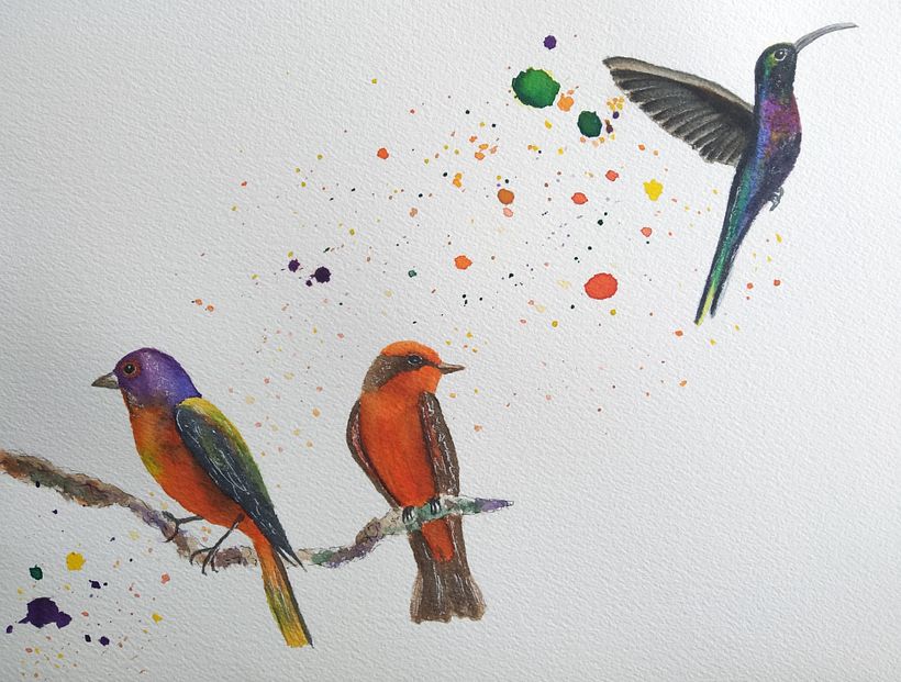 Mi proyecto del curso: Acuarela artística para ilustración de aves 6