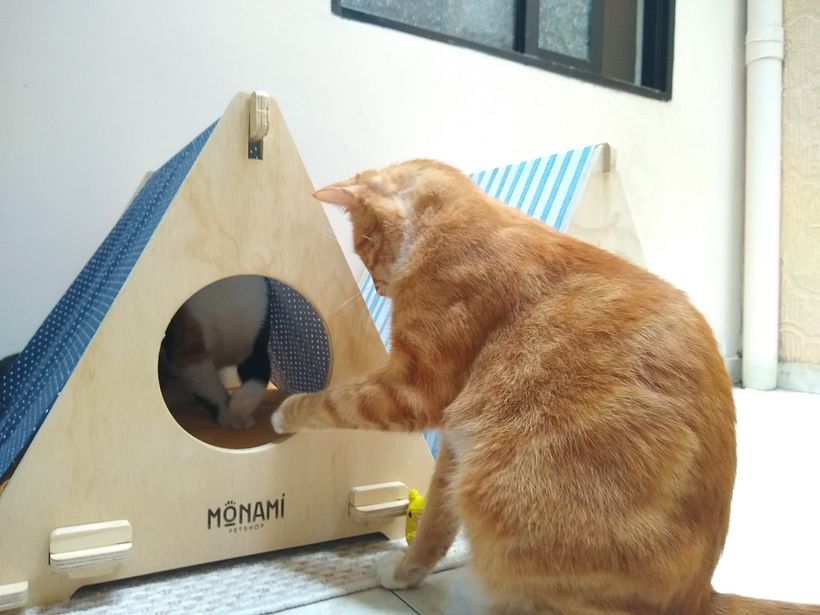 Modelo en CNC: Tipis para gatos 5