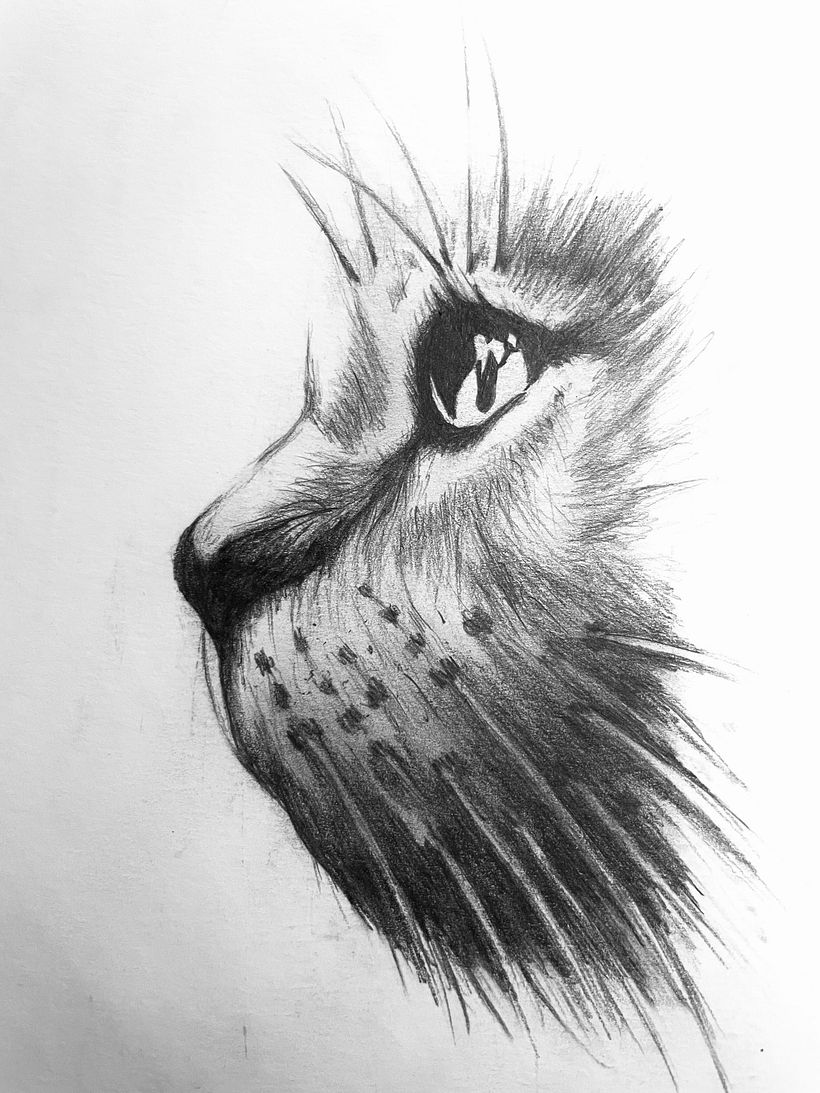 Il mio progetto del corso: Illustrazione surrealista ispirata alla natura 2