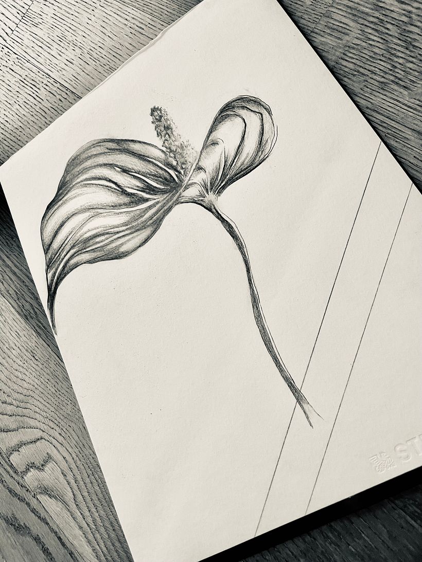 Il mio progetto del corso: Sketching quotidiano per potenziare la creatività 1