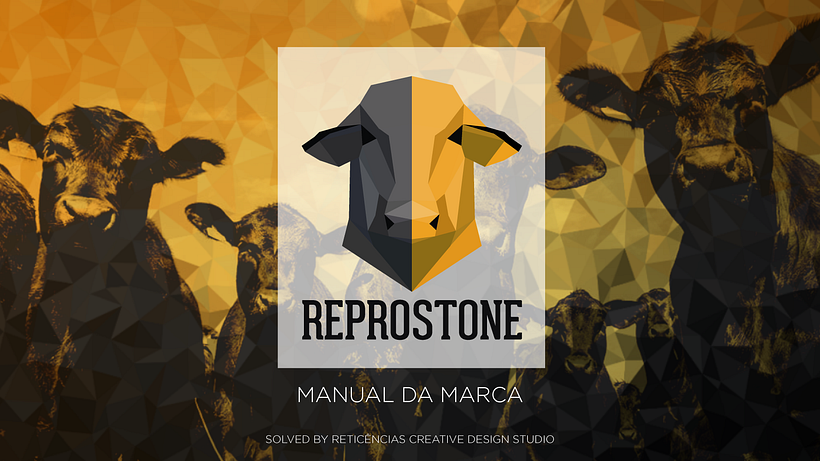 PROJETO REPROSTONE: Com aplicação de estratégias de marca com arquétipos 1
