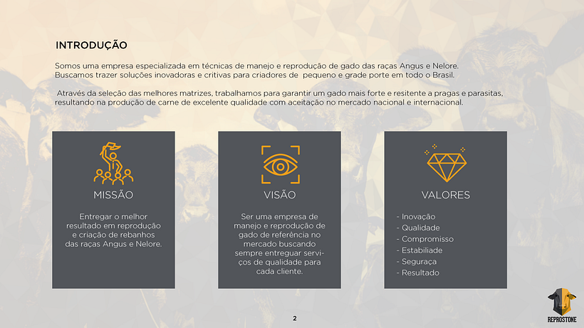 PROJETO REPROSTONE: Com aplicação de estratégias de marca com arquétipos 4