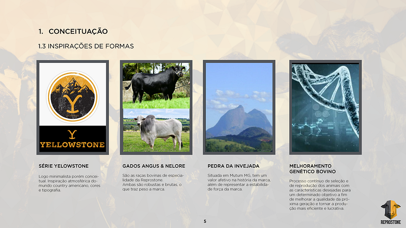 PROJETO REPROSTONE: Com aplicação de estratégias de marca com arquétipos 7