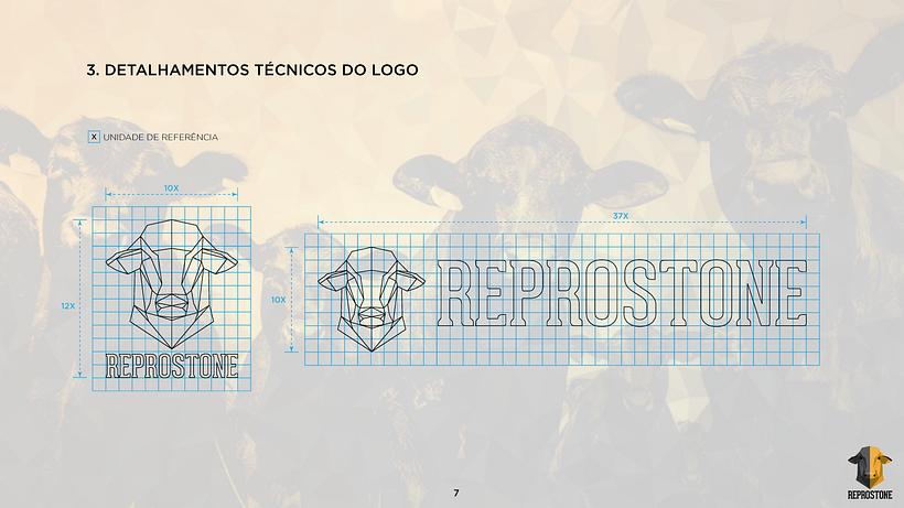 PROJETO REPROSTONE: Com aplicação de estratégias de marca com arquétipos 9