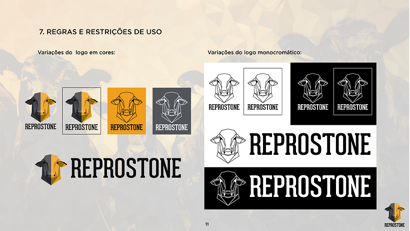 PROJETO REPROSTONE: Com aplicação de estratégias de marca com arquétipos 13