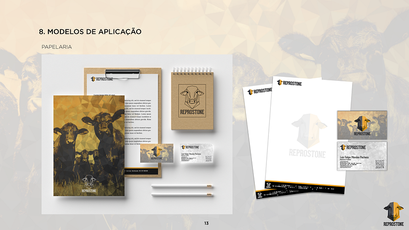 PROJETO REPROSTONE: Com aplicação de estratégias de marca com arquétipos 15