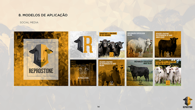 PROJETO REPROSTONE: Com aplicação de estratégias de marca com arquétipos 16