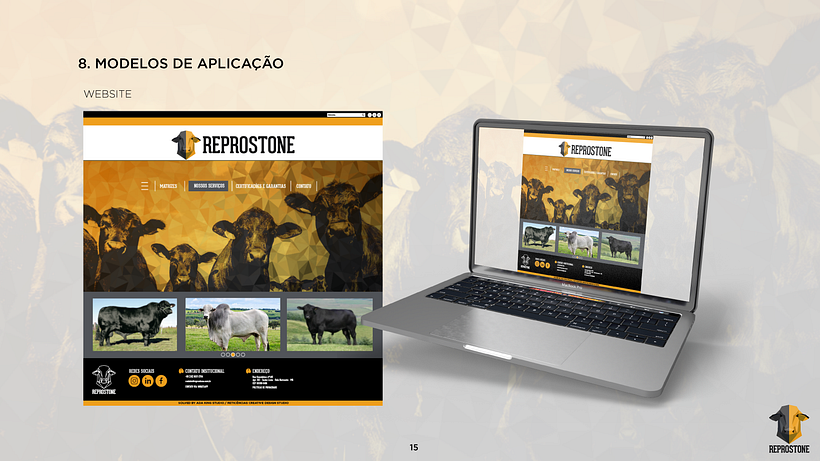 PROJETO REPROSTONE: Com aplicação de estratégias de marca com arquétipos 17