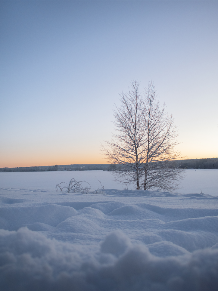 Winter Sun