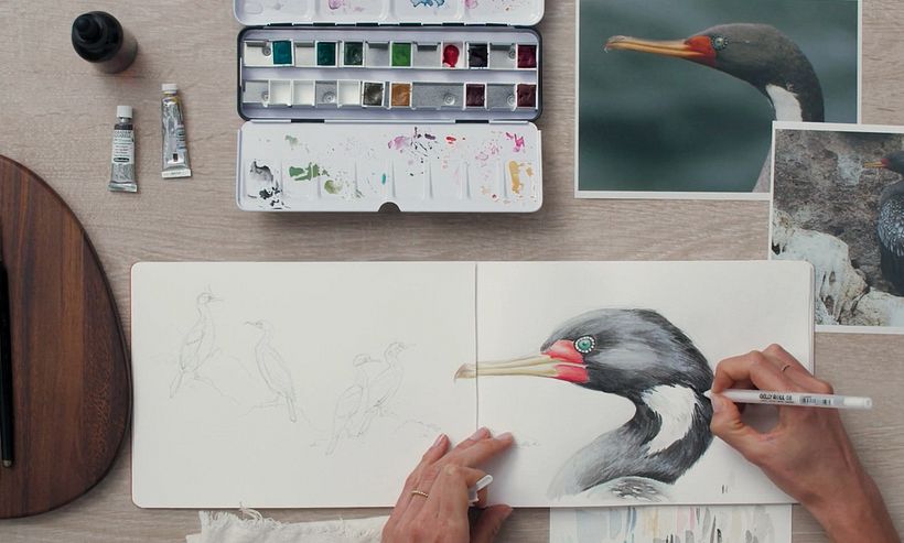 Illustrating from observation.