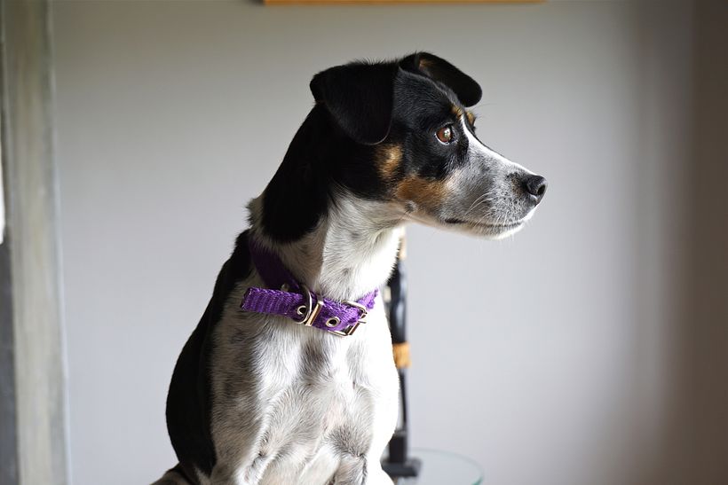 Mi proyecto del curso: Fotografía de viajes y lifestyle 3