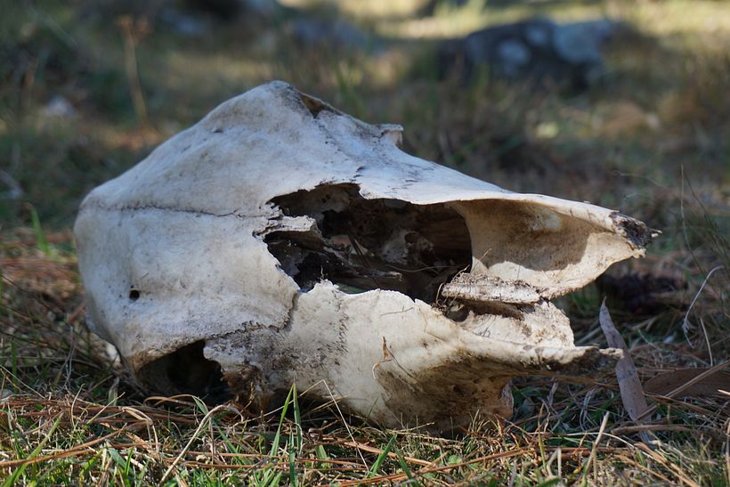 Mi proyecto del curso: Fotografía de viajes y lifestyle 6