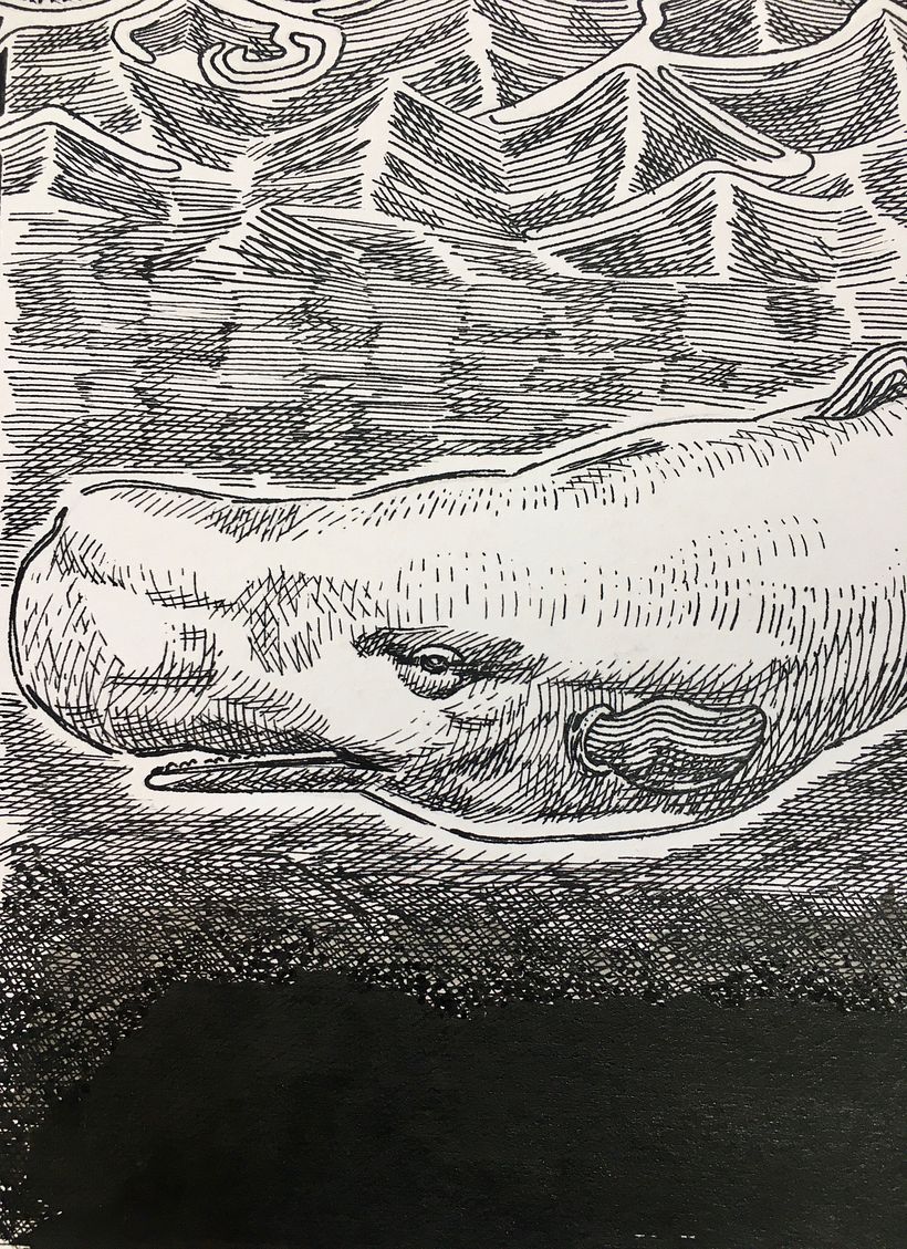 Moby Dick 2