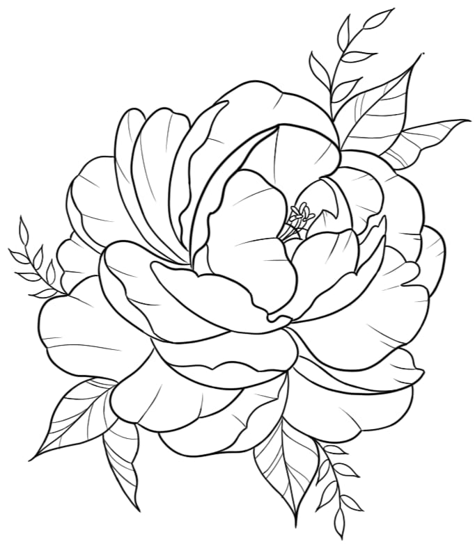 diseño original inspirado en una fotografía de la flor