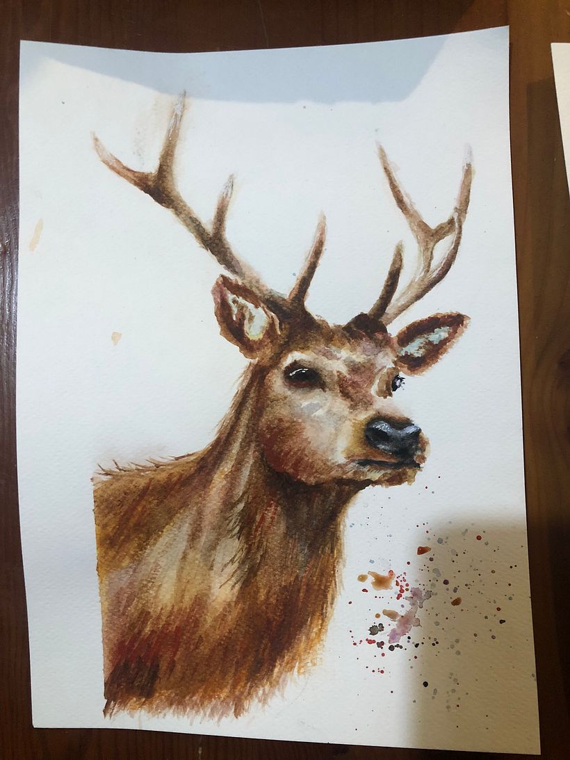 My project for course: Expressive Animal Portraits in Watercolor 5