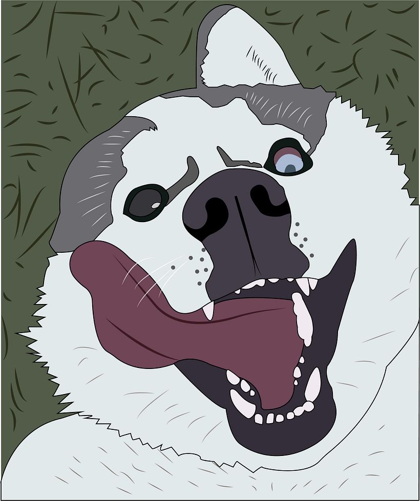 Illustration 4