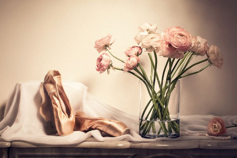 Still-life with pointes shoes 1