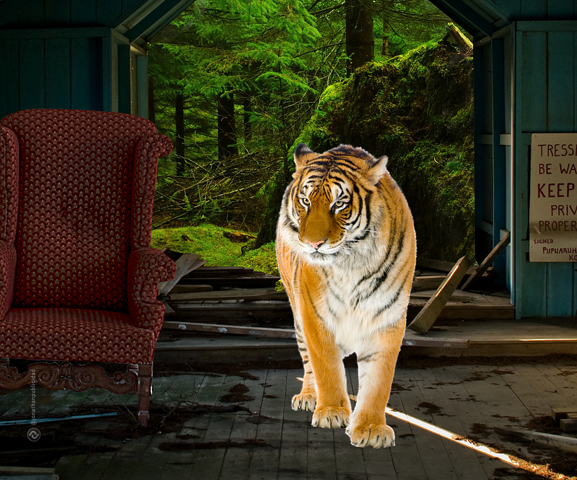 Integración-tigre-sillon-casa-bosque-manipulación-de-imagen