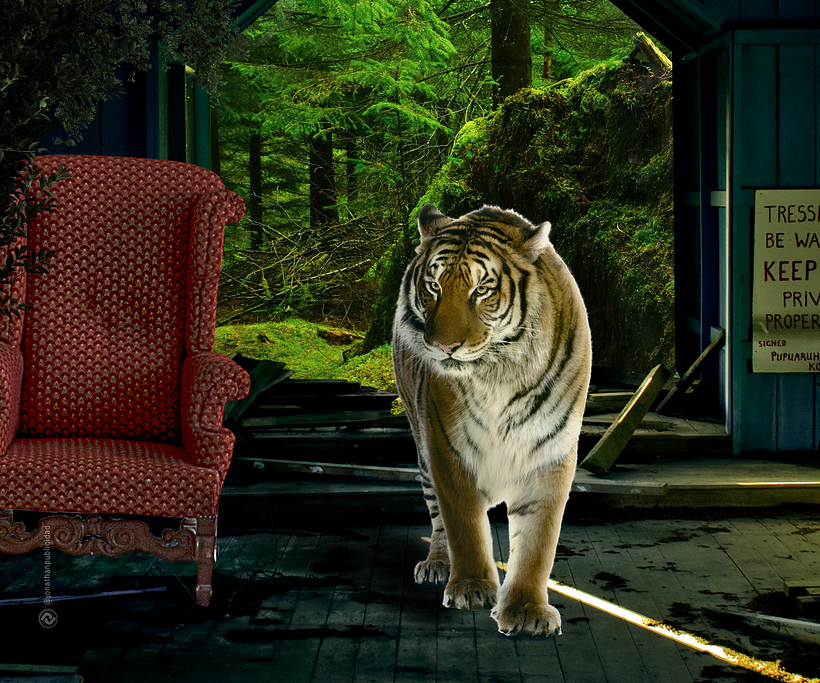 Avance-manipulación-de-imagen-tigre-casa-bosque