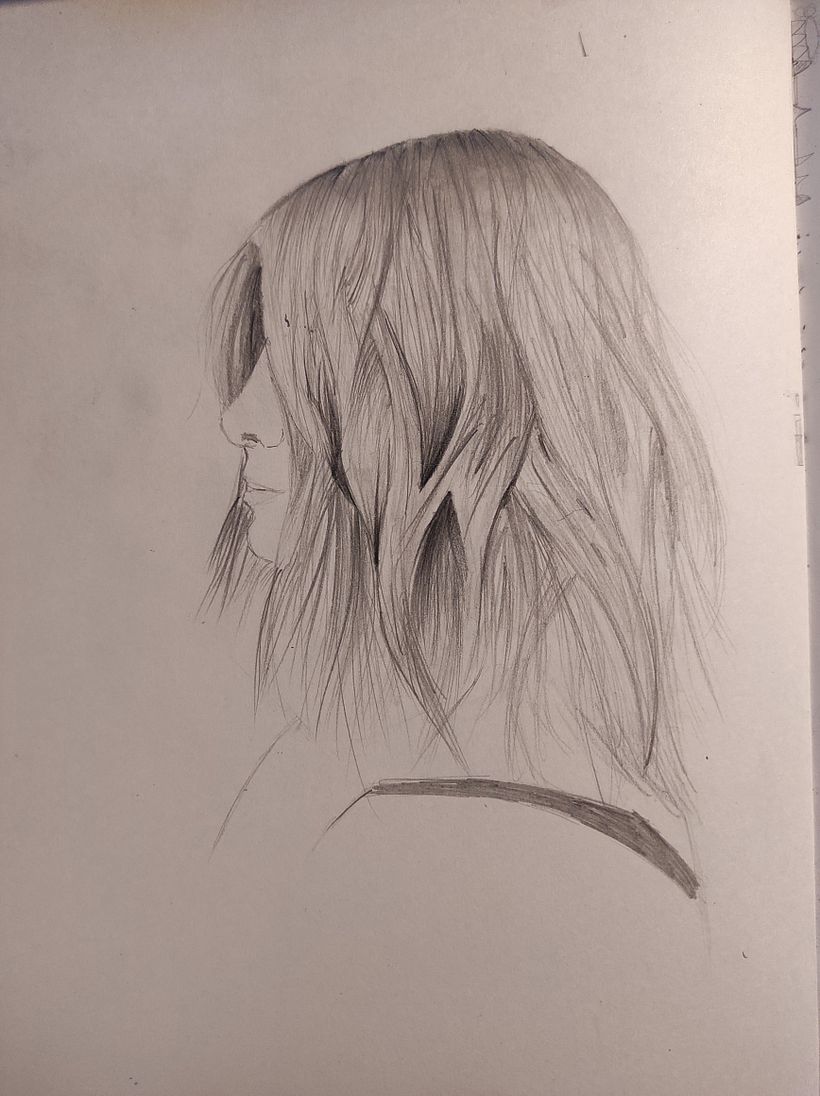 Dibujo del pelo PP 2