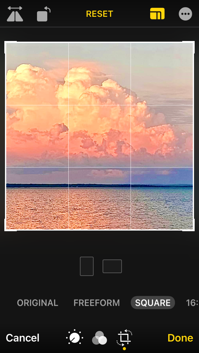 reference photo