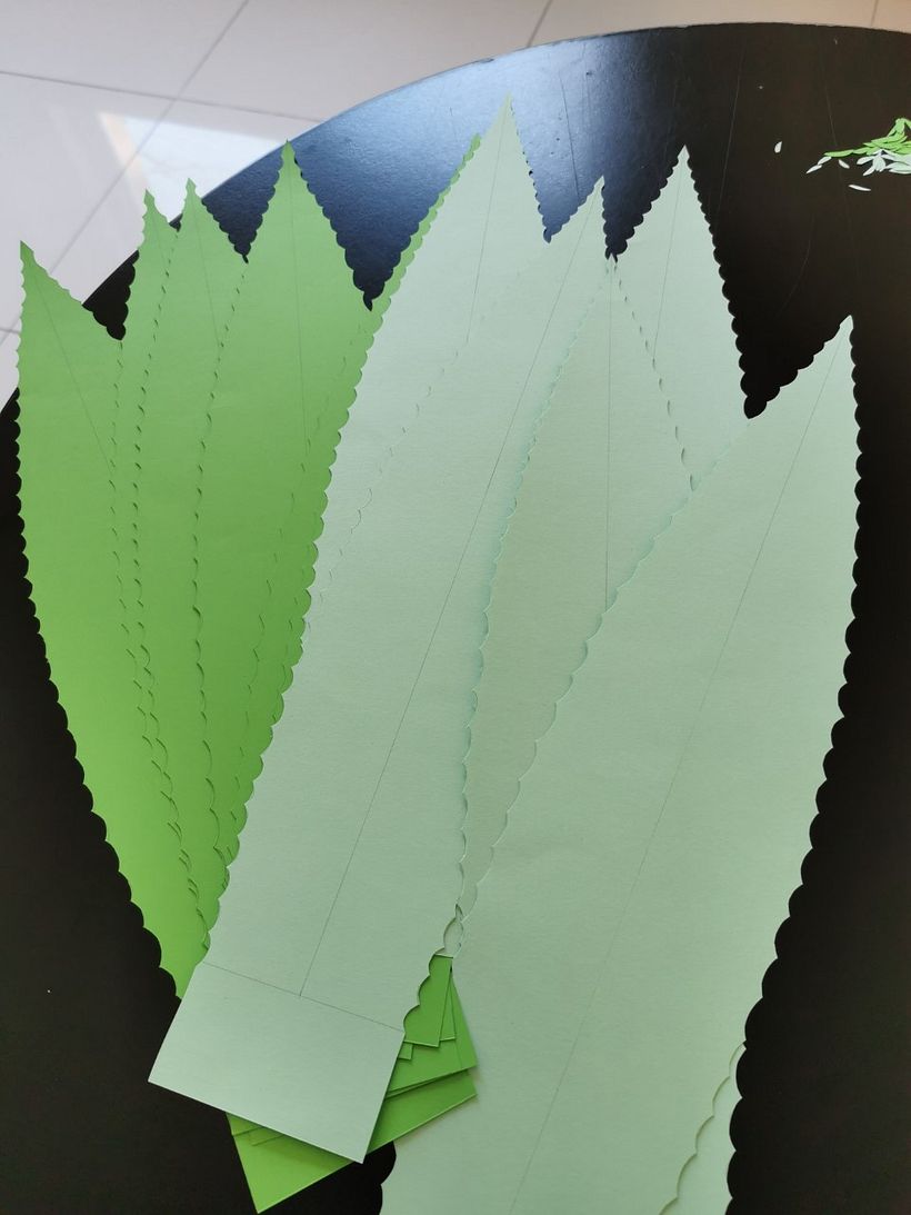 Mi proyecto del curso: Set fotográfico agave 4