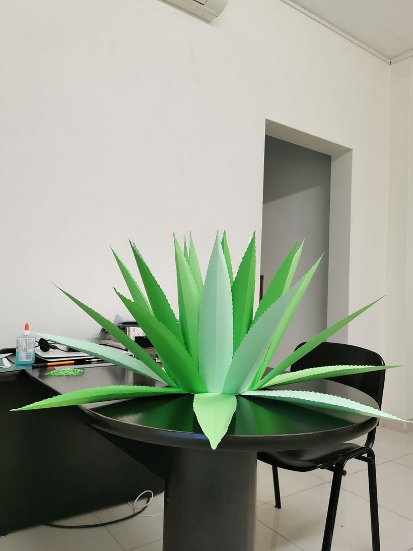Mi proyecto del curso: Set fotográfico agave 6