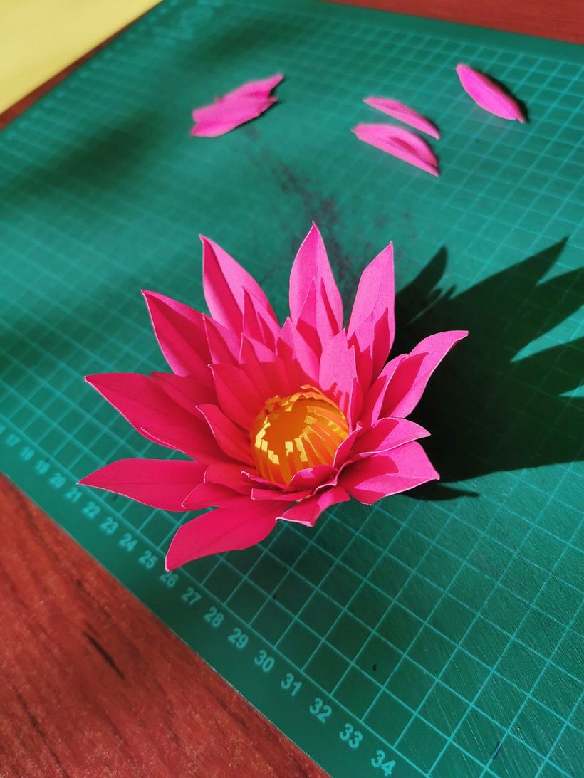Mi proyecto del curso: Set fotográfico agave 10