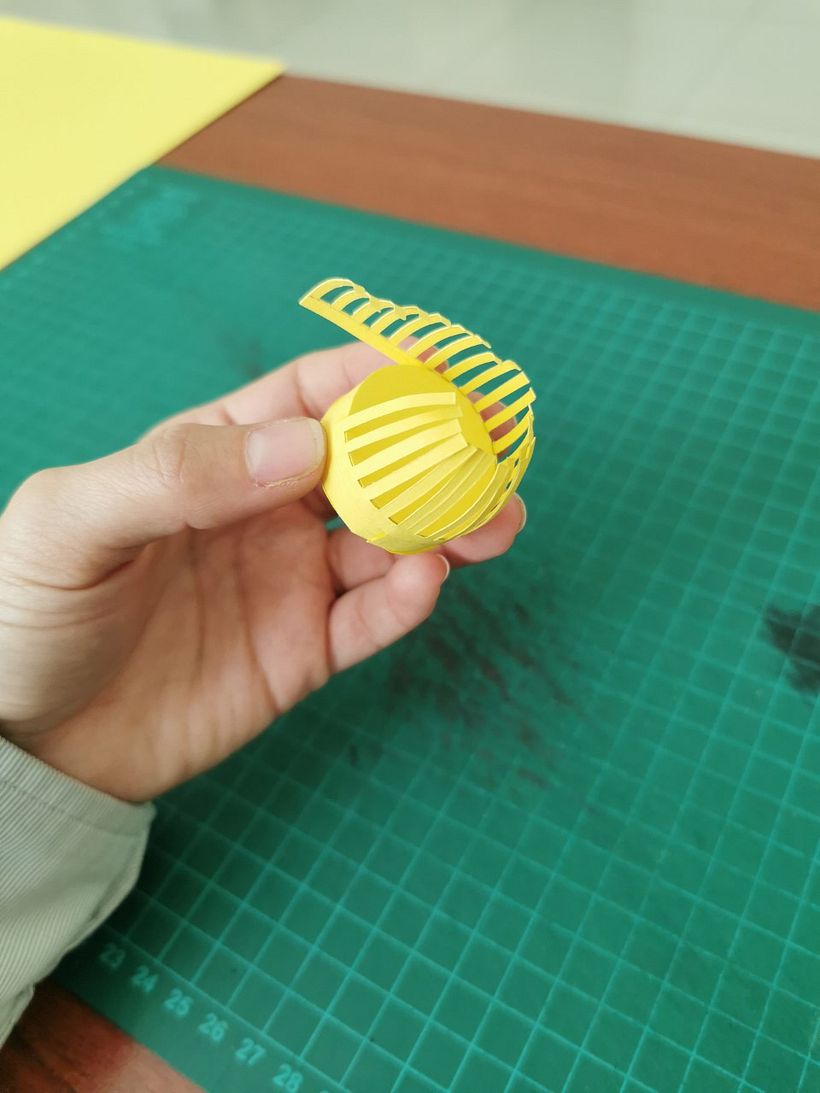 Mi proyecto del curso: Set fotográfico agave 7