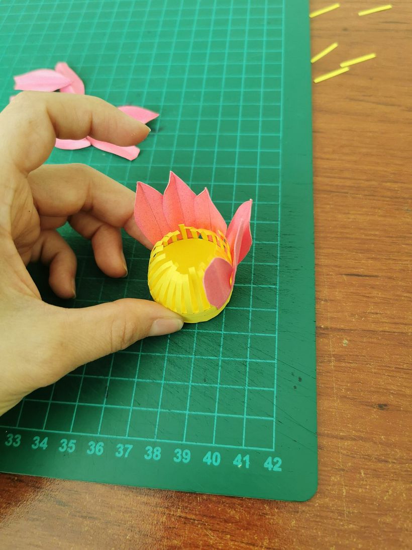 Mi proyecto del curso: Set fotográfico agave 8