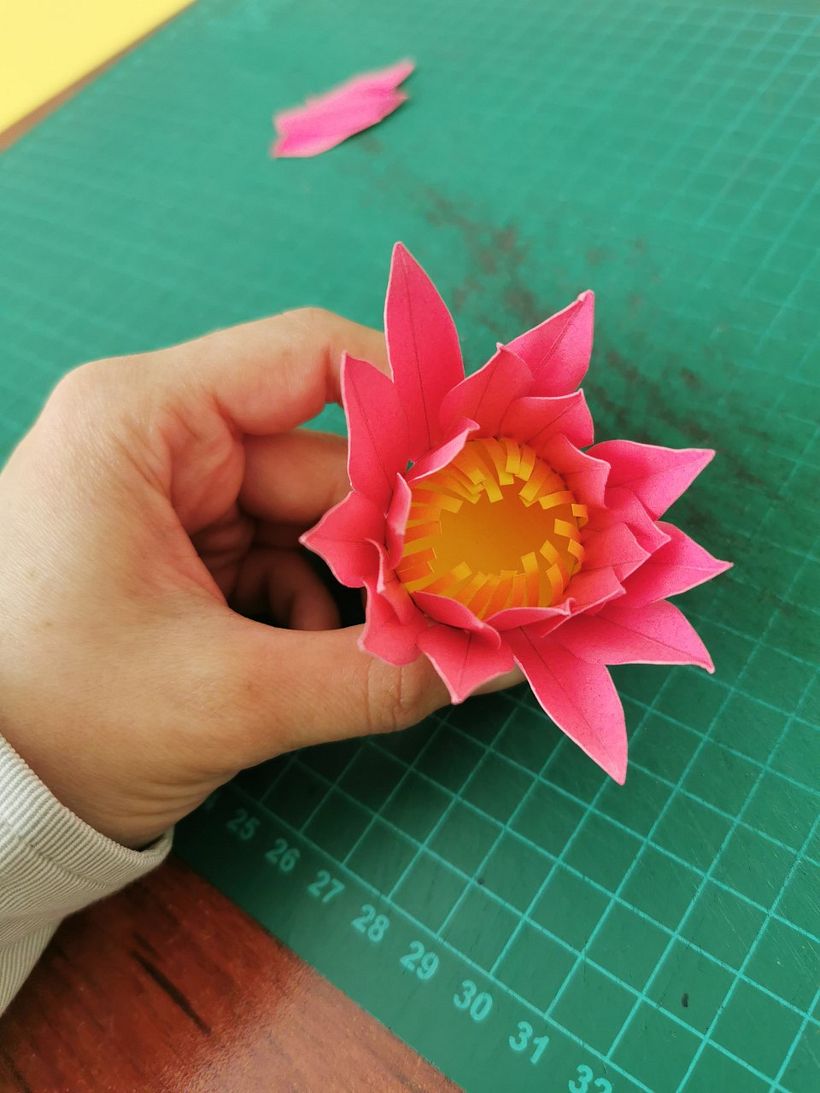 Mi proyecto del curso: Set fotográfico agave 9