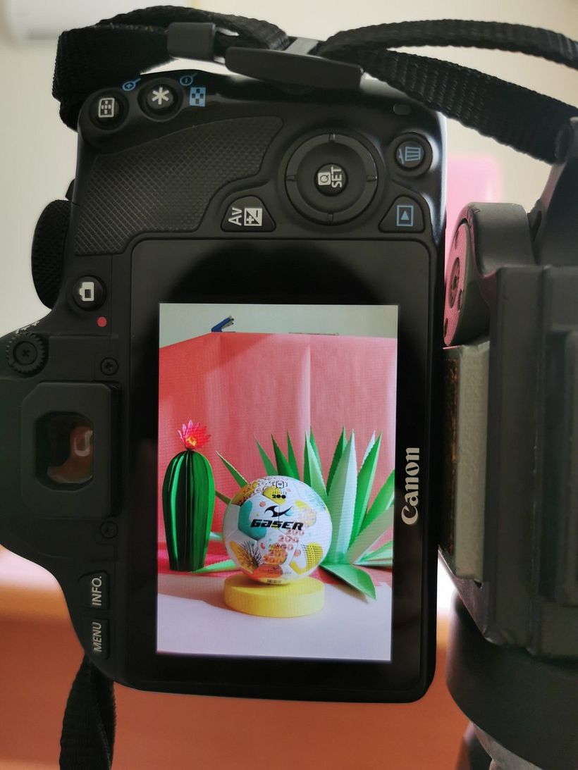 Mi proyecto del curso: Set fotográfico agave 11