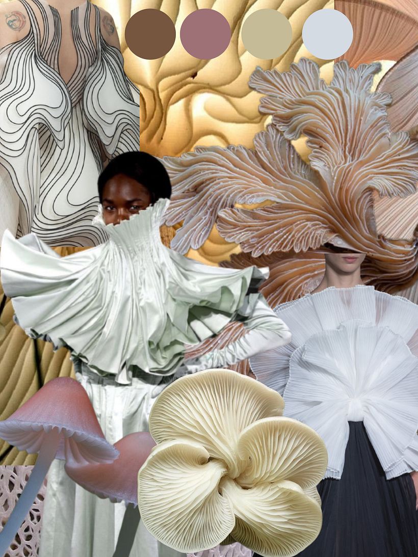 Primeros Moodboards  3