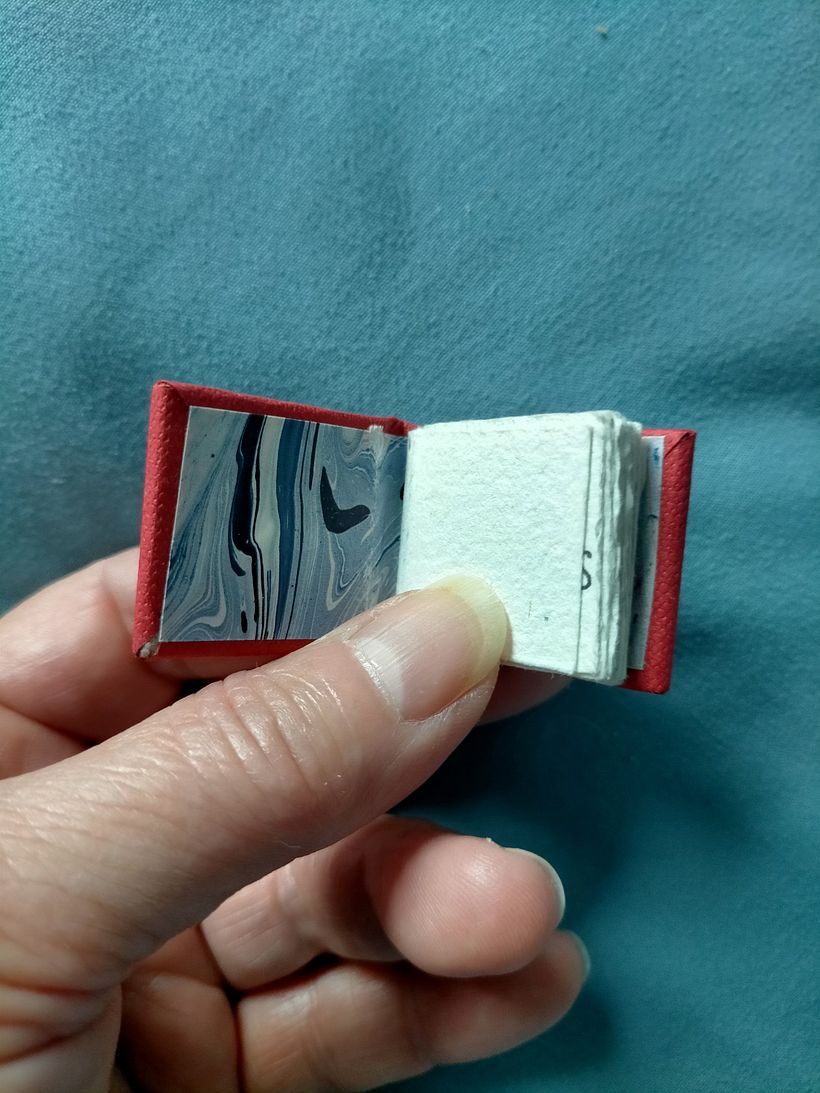Mi proyecto del curso: Ilustración y encuadernación de libros en miniatura 4