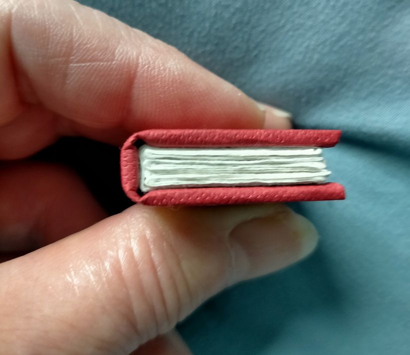 Mi proyecto del curso: Ilustración y encuadernación de libros en miniatura 16