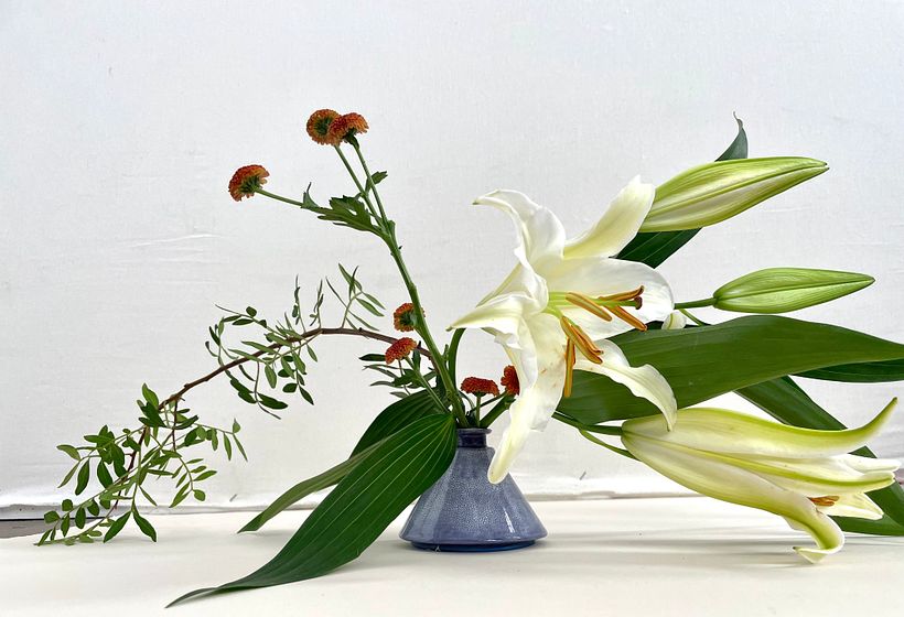 My project for course: Contemporary Botanical Illustration with Ink 2