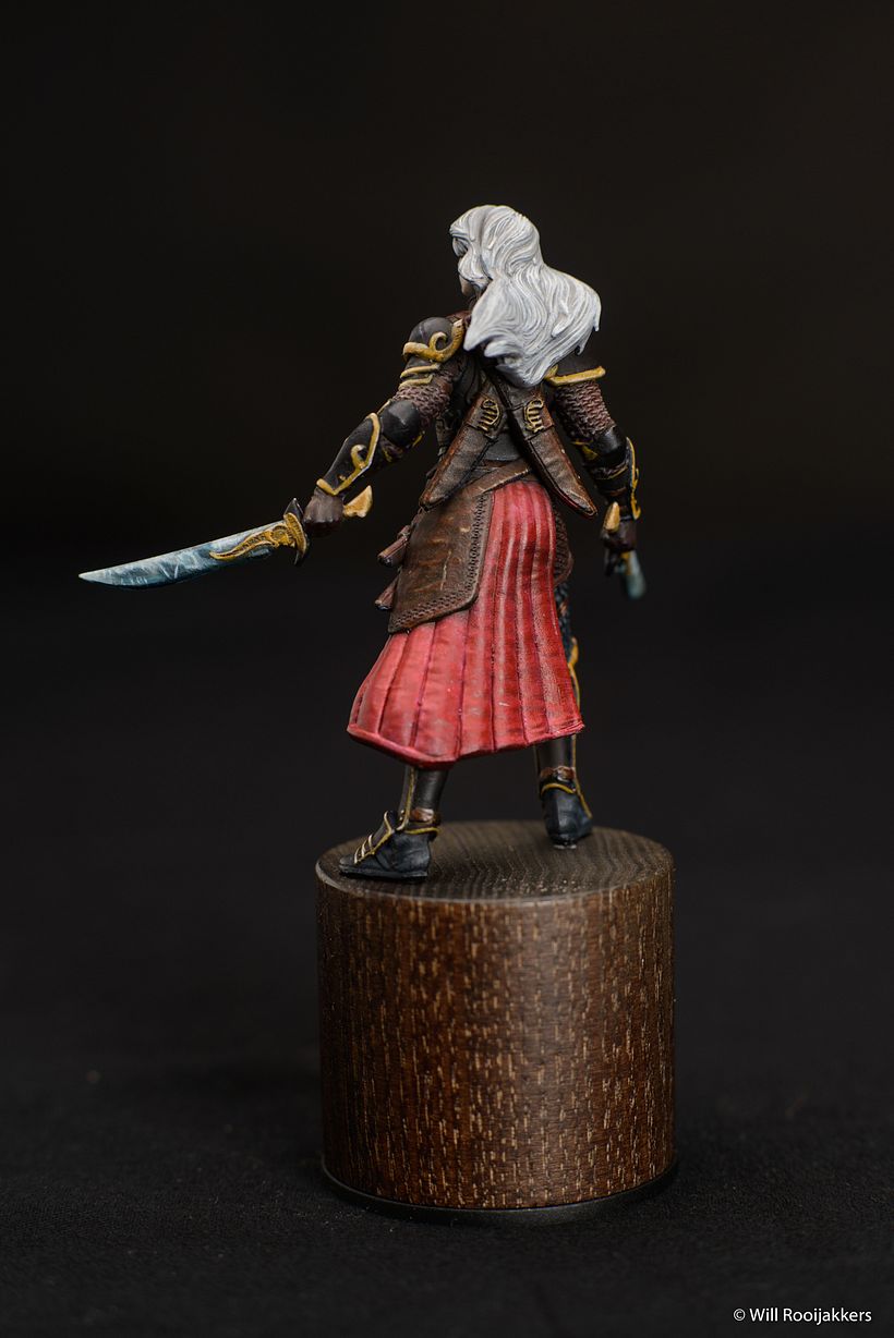 My project for course: Introduction to Painting Miniatures 8