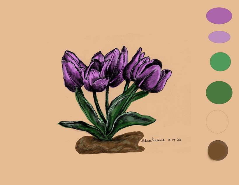 Tulips bunch 