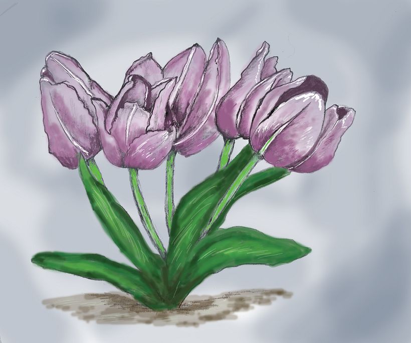 Tulips blur brushes