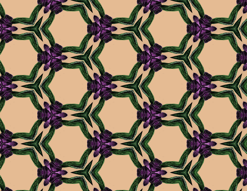Tulip petals linked