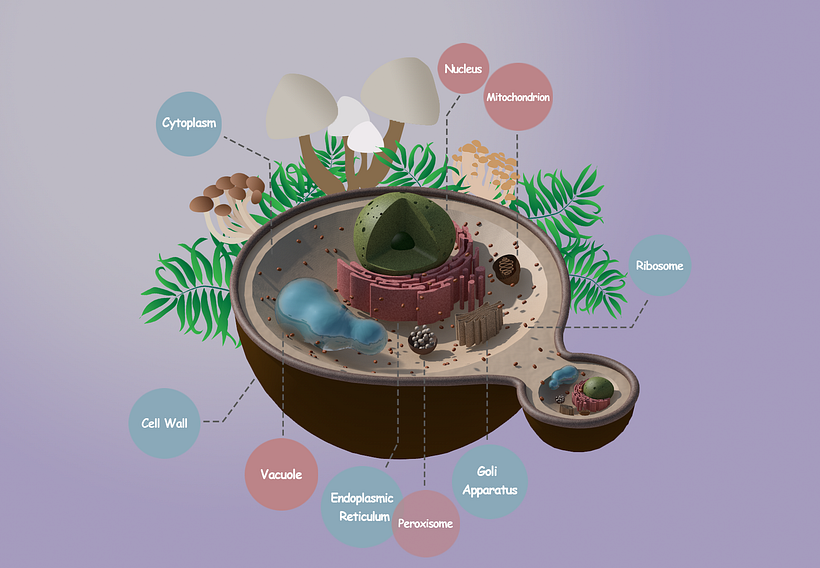 My project for course: Introduction to Illustrated Infographics 3