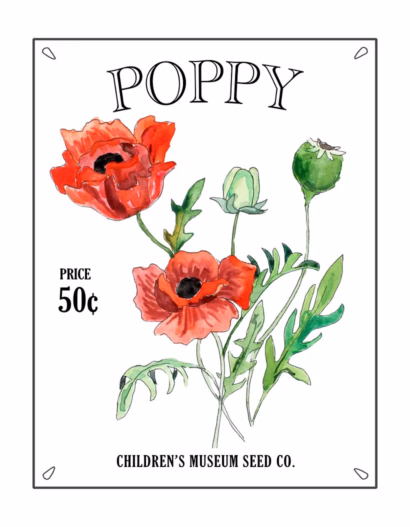 Embroidered Vintage Seed Packet Botanical Illustration 1