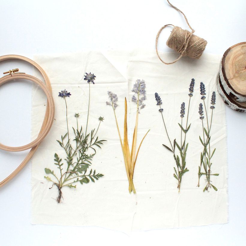 Pressed Plant Embroidery 1