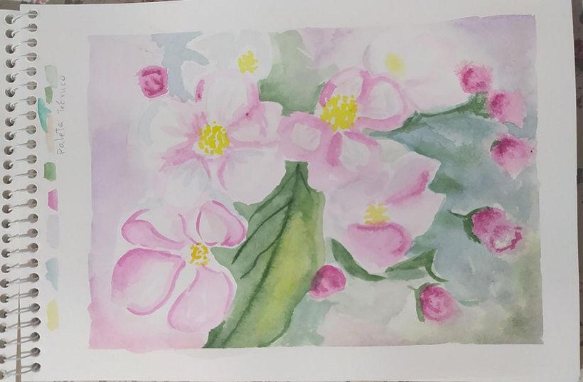 Meu projeto do curso: Criação de paletas de cores com aquarela 11