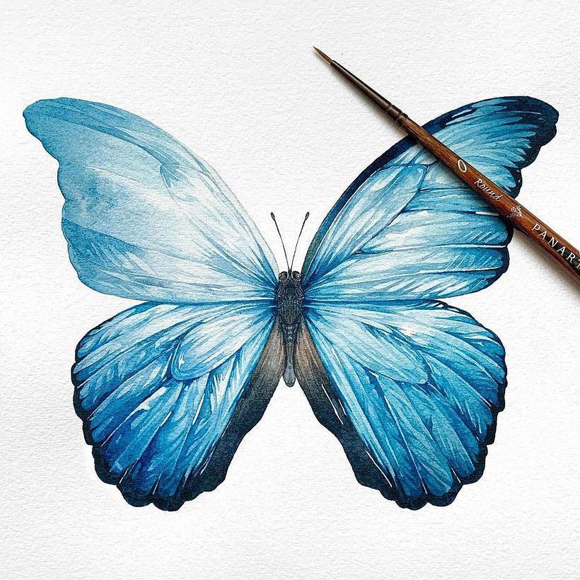 Blue Morpho (Work in Progress)