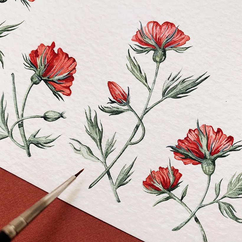 Roses