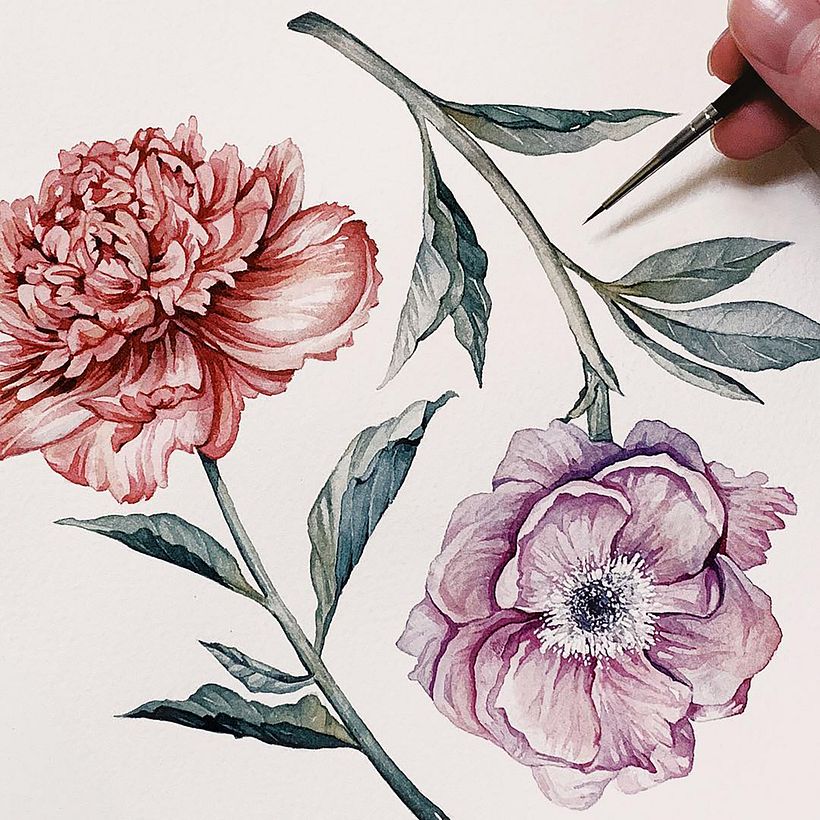 Peonies