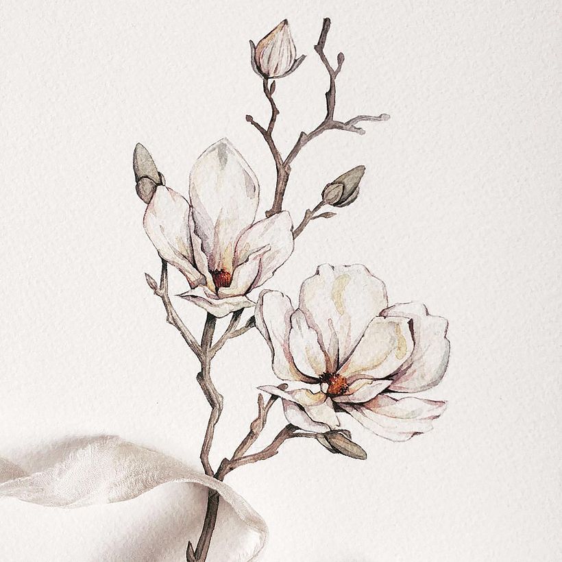 White Magnolia