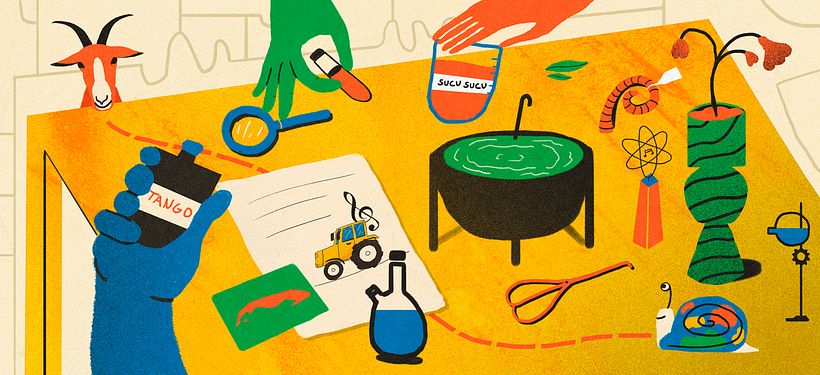 Ilustraciones para serie de artículos sobre "La guarandinga" 3