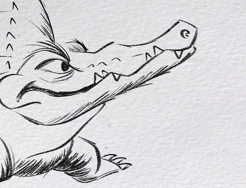 Alligators, friendly psychopaths 6